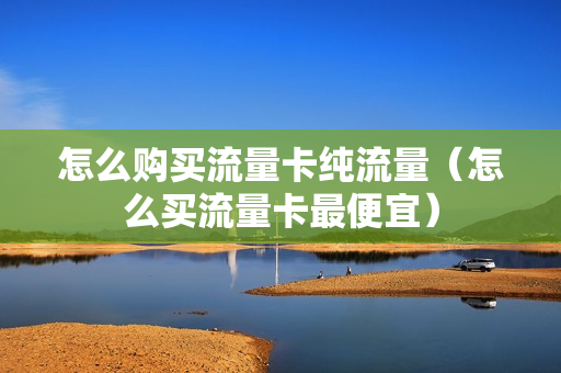 怎么购买流量卡纯流量（怎么买流量卡最便宜）