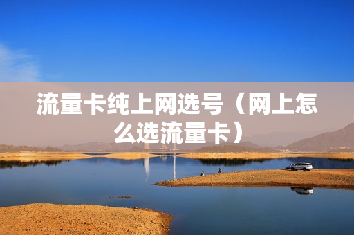 流量卡纯上网选号（网上怎么选流量卡）