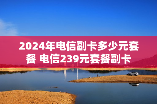 2024年电信副卡多少元套餐 电信239元套餐副卡