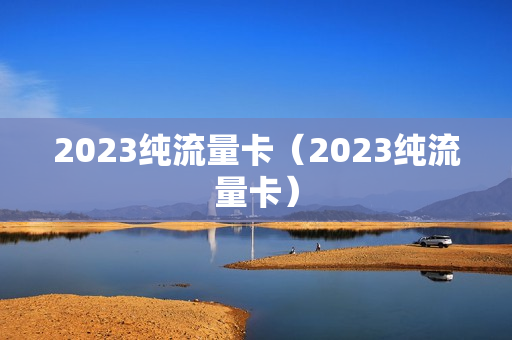 2023纯流量卡（2023纯流量卡）