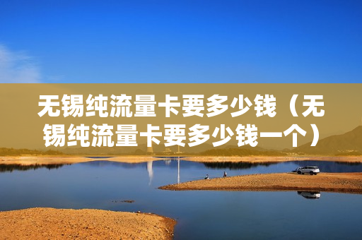 无锡纯流量卡要多少钱（无锡纯流量卡要多少钱一个）