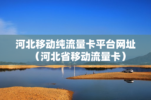 河北移动纯流量卡平台网址（河北省移动流量卡）