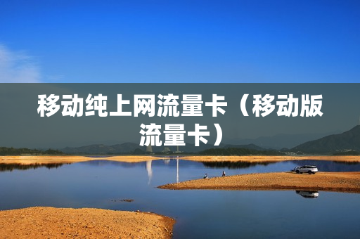 移动纯上网流量卡（移动版流量卡）