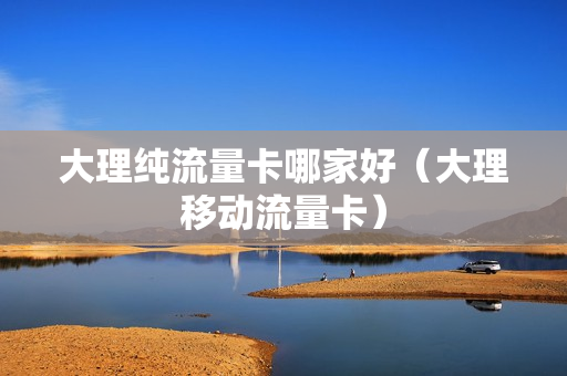 大理纯流量卡哪家好（大理移动流量卡）