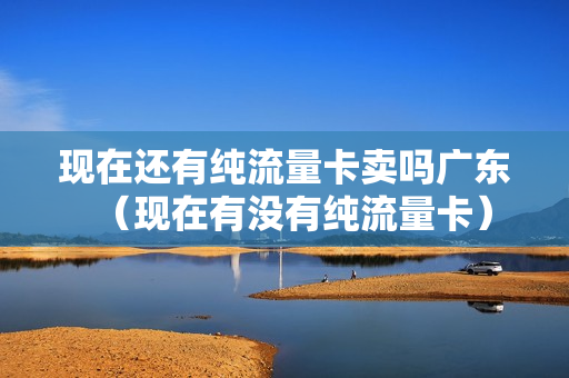 现在还有纯流量卡卖吗广东（现在有没有纯流量卡）