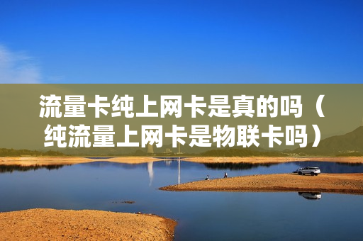 流量卡纯上网卡是真的吗（纯流量上网卡是物联卡吗）