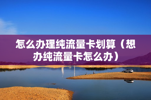 怎么办理纯流量卡划算（想办纯流量卡怎么办）