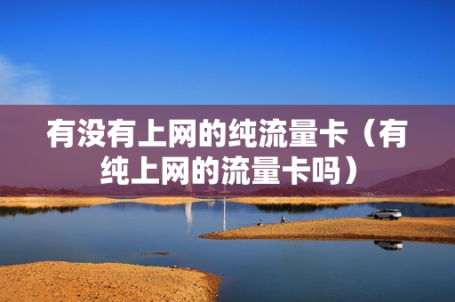 有没有上网的纯流量卡（有纯上网的流量卡吗）