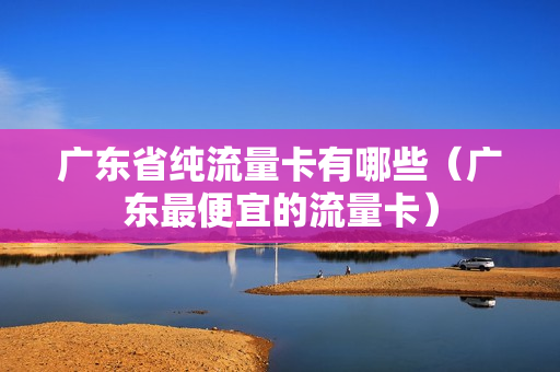 广东省纯流量卡有哪些（广东最便宜的流量卡）