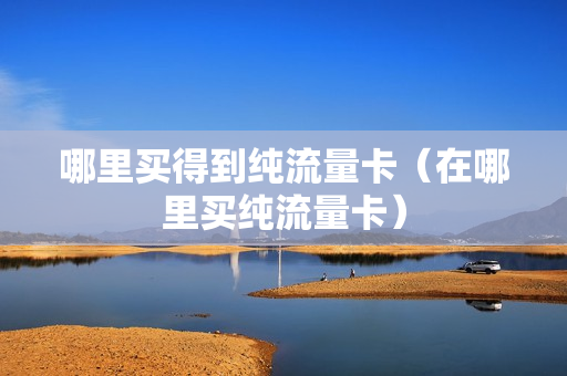 哪里买得到纯流量卡（在哪里买纯流量卡）