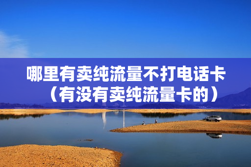 哪里有卖纯流量不打电话卡（有没有卖纯流量卡的）
