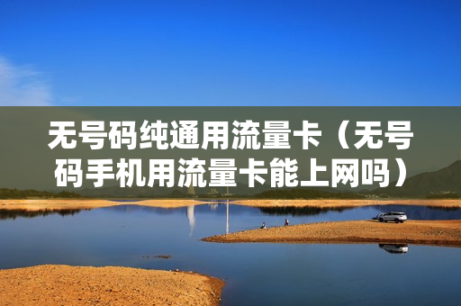 无号码纯通用流量卡（无号码手机用流量卡能上网吗）
