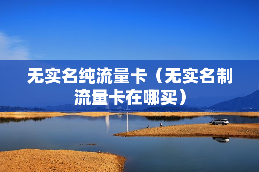 无实名纯流量卡（无实名制流量卡在哪买）