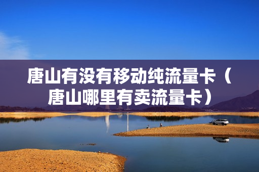 唐山有没有移动纯流量卡（唐山哪里有卖流量卡）