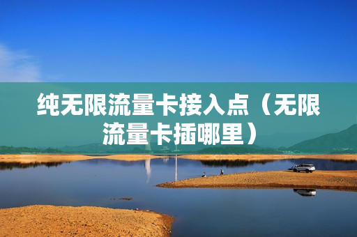 纯无限流量卡接入点（无限流量卡插哪里）
