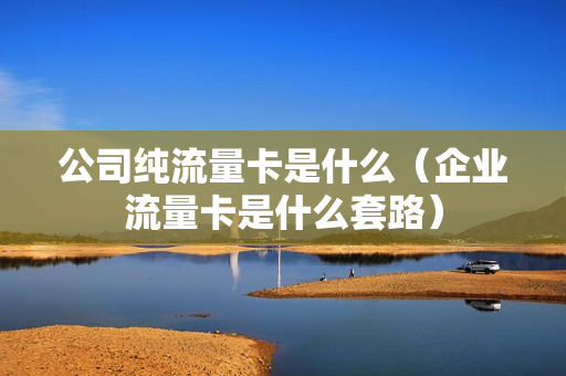 公司纯流量卡是什么（企业流量卡是什么套路）