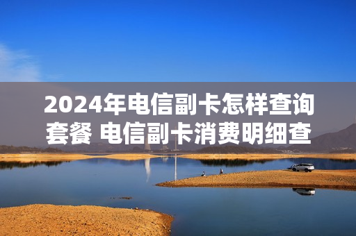2024年电信副卡怎样查询套餐 电信副卡消费明细查询