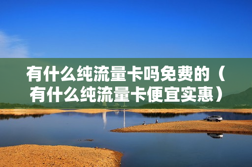 有什么纯流量卡吗免费的（有什么纯流量卡便宜实惠）