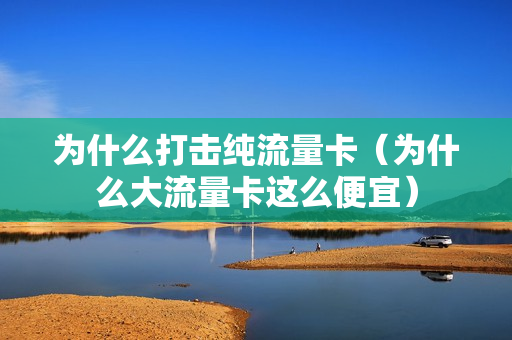 为什么打击纯流量卡（为什么大流量卡这么便宜）