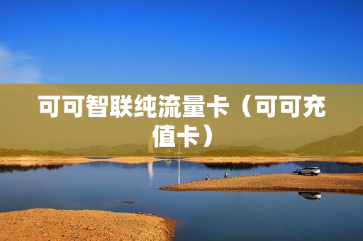 可可智联纯流量卡（可可充值卡）