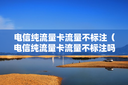 电信纯流量卡流量不标注（电信纯流量卡流量不标注吗）