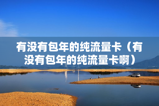 有没有包年的纯流量卡（有没有包年的纯流量卡啊）