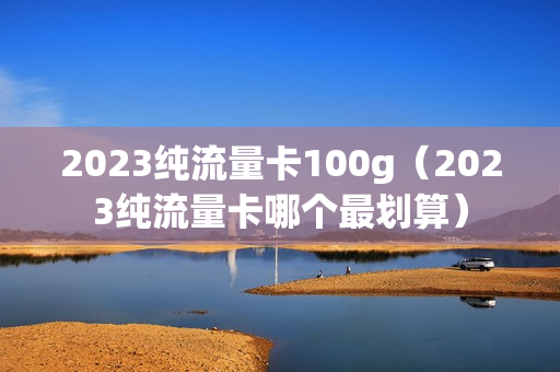 2023纯流量卡100g（2023纯流量卡哪个最划算）