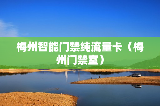梅州智能门禁纯流量卡（梅州门禁室）