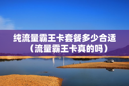 纯流量霸王卡套餐多少合适（流量霸王卡真的吗）