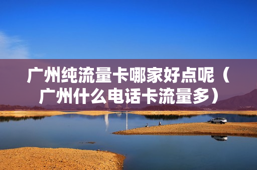 广州纯流量卡哪家好点呢（广州什么电话卡流量多）