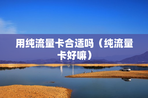 用纯流量卡合适吗（纯流量卡好嘛）