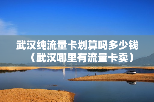 武汉纯流量卡划算吗多少钱（武汉哪里有流量卡卖）