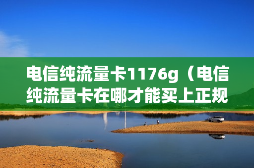 电信纯流量卡1176g（电信纯流量卡在哪才能买上正规的）