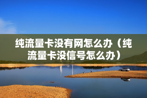 纯流量卡没有网怎么办（纯流量卡没信号怎么办）