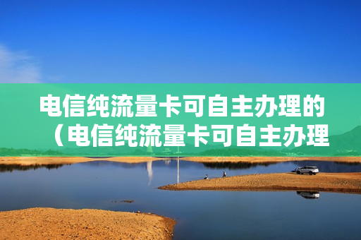电信纯流量卡可自主办理的（电信纯流量卡可自主办理的吗）