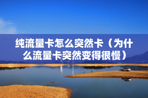 纯流量卡怎么突然卡（为什么流量卡突然变得很慢）