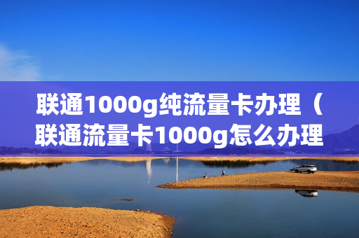 联通1000g纯流量卡办理（联通流量卡1000g怎么办理）