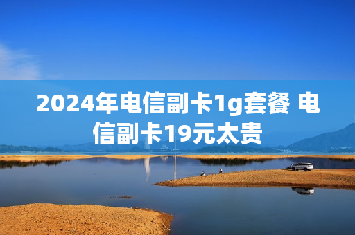 2024年电信副卡1g套餐 电信副卡19元太贵