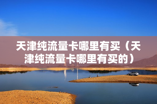 天津纯流量卡哪里有买（天津纯流量卡哪里有买的）