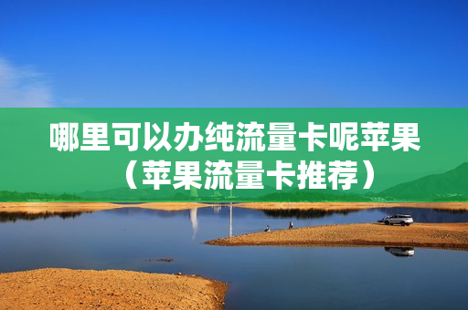 哪里可以办纯流量卡呢苹果（苹果流量卡推荐）