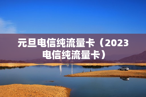 元旦电信纯流量卡（2023电信纯流量卡）