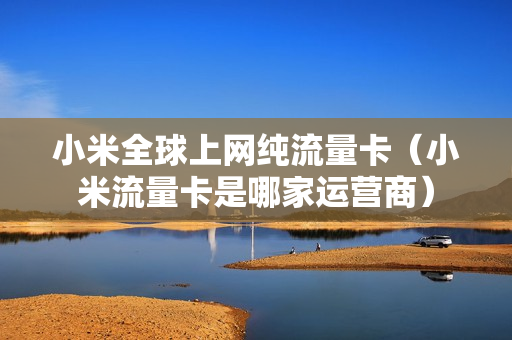 小米全球上网纯流量卡（小米流量卡是哪家运营商）