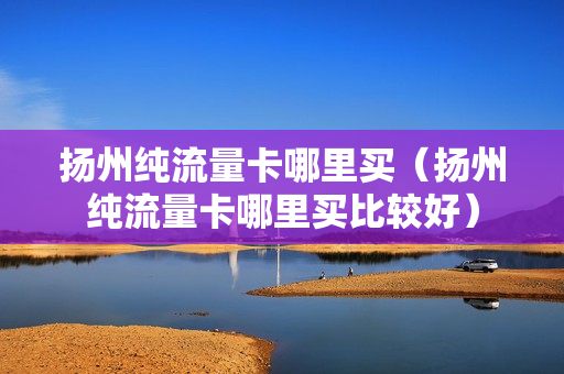 扬州纯流量卡哪里买（扬州纯流量卡哪里买比较好）