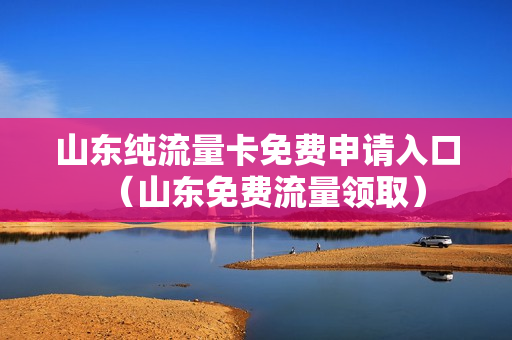 山东纯流量卡免费申请入口（山东免费流量领取）