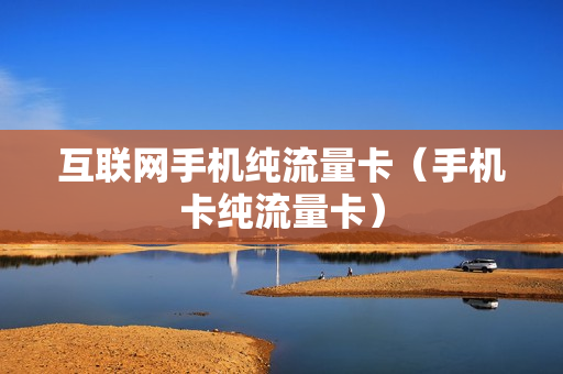 互联网手机纯流量卡（手机卡纯流量卡）