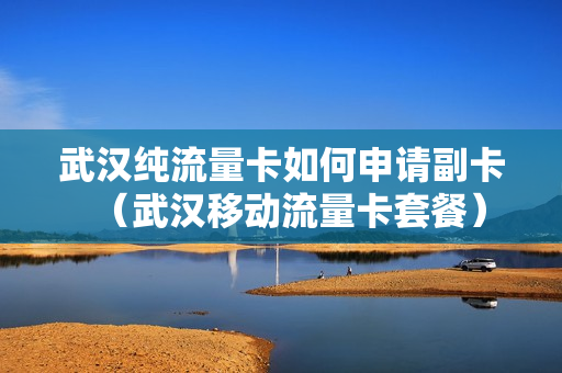 武汉纯流量卡如何申请副卡（武汉移动流量卡套餐）