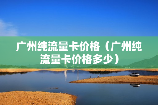 广州纯流量卡价格（广州纯流量卡价格多少）