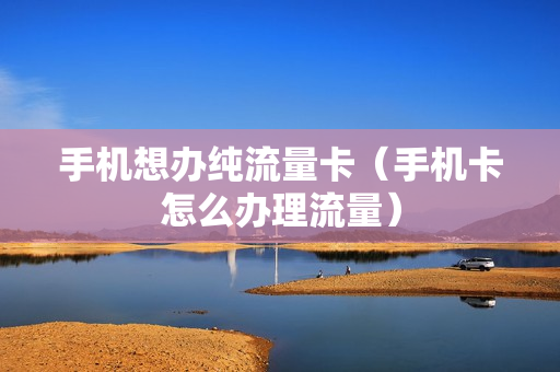 手机想办纯流量卡（手机卡怎么办理流量）