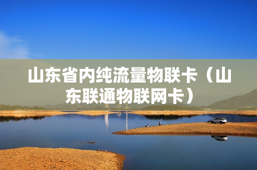 山东省内纯流量物联卡（山东联通物联网卡）