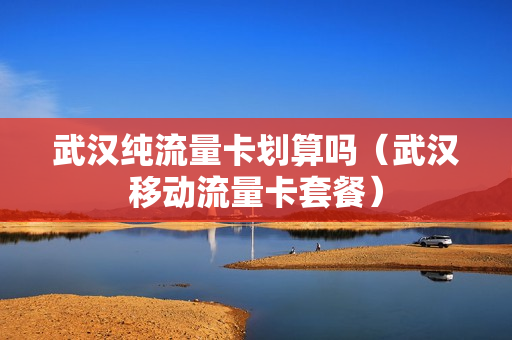武汉纯流量卡划算吗（武汉移动流量卡套餐）